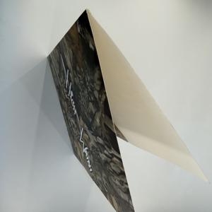 Offre Spéciale – Dossiers en Papier Spécial Imprimés Personnalisés de Qualité Supérieure à Bas Prix, avec Film de Reliure en Papier Couché et Laminé - Product Image 5