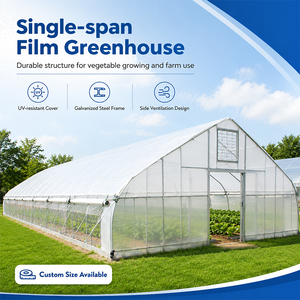 Attrezzature per Serre in Cina, Tunnel Prefabbricato in Polietilene 500M2, Serre Agricole per Piante - Product Image 1