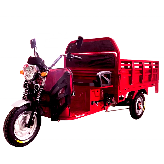 Electric 3-Wheel Adult Tricycle with 48V Motor Open Body Cargo Vehicle Heavy Duty 400kg Payload Capacity