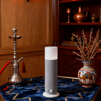 Diffuseur d'aromathérapie électrique en plastique pour vente en gros, nébuliseur d'huiles essentielles sans eau avec éclairage LED et contrôle par application