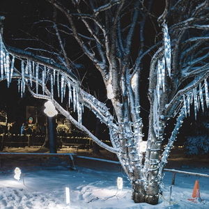 Lumières LED d'extérieur à effet de neige tombante, basse tension 24V, en plastique IP65 de qualité commerciale, pour la décoration d'ingénierie municipale - Product Image 2