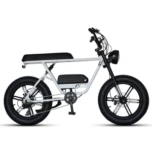 Migliore qualità della cina produttore elettrico Quad bici da bicicletta 72V