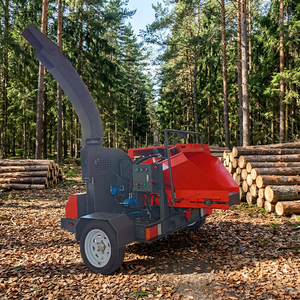 Broyeur de bois diesel pour déchets de jardin, branches d'arbres et aménagement paysager - Product Image 1