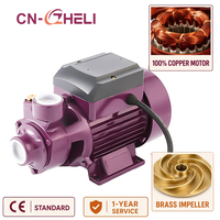 Pompe à eau périphérique électrique ZHELI de qualité supérieure, modèle QB 60, 0,5 CV, spécifications, pompe vortex portable en fonte 220 V, usage domestique 1 CV