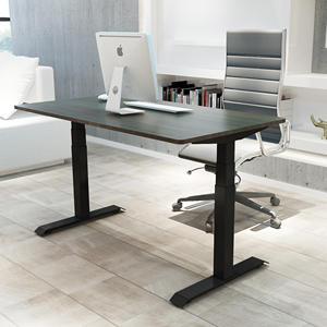 Mesa de Pie y Sentado Personalizable, Marco de Escritorio Ergonómico con Altura Ajustable Eléctricamente, Mesa Elevadora para Oficina y Hogar - Product Image 1