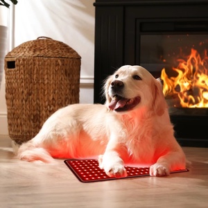 Coussin de luminothérapie flexible à lumière rouge pour animaux, soulagement des douleurs liées à l'arthrite des tendons et aux plaies, pour chevaux, chiens, chats, usage domestique, dispositif 660nm 850nm - Product Image 1