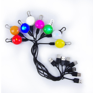 Pet LED <b>Light</b>-Up Accessories USB-Charged <b>Dog</b> Pendant Pet Glow Tag Accessories Outdoor Warning <b>Light</b> - Product Image 1