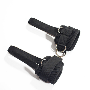 Ifting-trampas de levantamiento de insectos, - Product Image 2