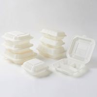 Conteneur alimentaire jetable biodégradable et écologique, boîte d'emballage alimentaire compostable personnalisée pour restaurant, vente en gros, événements et fêtes