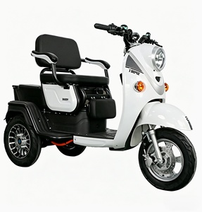 Tricicli Elettrici in Acciaio di Alta Qualità Cinesi, Design Originale per Tutti, per Trasporto Merci e Passeggeri - Product Image 1