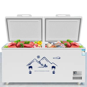 Congélateur Vitrine Commercial de Grande Capacité 1000 L à Double Porte pour Crèmes Glacées et Surgelés, Idéal Supermarché et Épicerie - Product Image 1