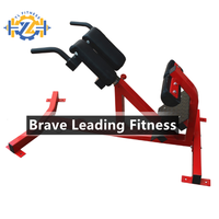 Chaise romaine réglable YL-2011 |   Banc d'hyperextension dorsal commercial certifié CE