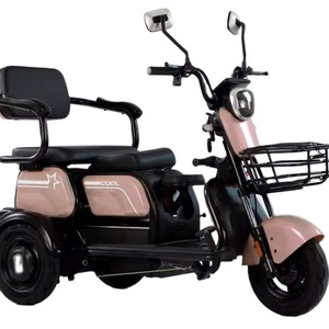 Triciclo Eléctrico de 48v de China, Vehículo Eléctrico de Carrocería Abierta de 3 Ruedas para 2 Pasajeros y Carga Motorizada de 500 kg - Product Image 1