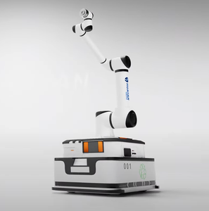 Robot collaboratif de manutention Huayan Robotics S50, robot de palettisation à charge lourde - Product Image 4