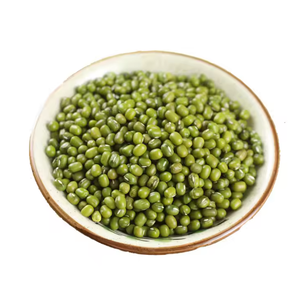 <span class=keywords><strong>Prix</strong></span> de gros Produits agricoles certifiés biologiques Haricots verts mungo à vendre - Product Image 3