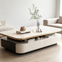Table basse moderne avec plateau en pierre et structure en bois massif pour appartement, salon, mobilier de maison avec rangement, design écologique
