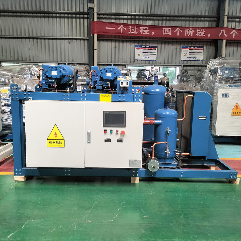 Duisburg Refrigerent Compressor Project Refrigerator Container Industrial Cold Room Project Screw Compressor ...
