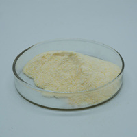 Enzyme Bromélaïne de Qualité Alimentaire, Additif Alimentaire, 2400 GDU, Poudre d'Enzyme Bromélaïne Pure