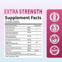 Capsules de thé Yerba Mate en gros OEM, sans OGM, extrait de Yerba Mate pour adultes, énergie propre, endurance mentale, soutien immunitaire