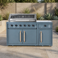 Barbecue au gaz commercial gris à 6 brûleurs, cuisinière d'extérieur avec armoire latérale et système de grillades roulantes