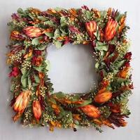 Gedroogde koningsprotea bloemen voor binnen, decoratief voor bruiloften, Pasen & Halloween arrangementen - Langdurig, 20-30cm