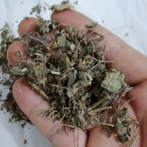 Großhandel All Grass Duchesnea Indica getrocknete indische Mock Erdbeere zu verkaufen - Product Image 6