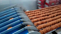 Machine à biscuits entièrement automatique Équipement de fabrication de biscuits Ligne de production de biscuits avec lettres de l'alphabet