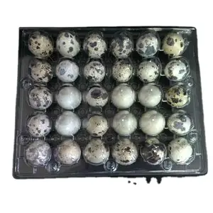 China Factory Plastic 30Cells Egg Tray Suppliers For Chicken