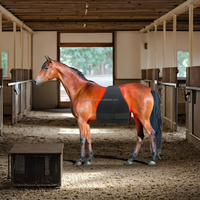 2025 tapis de cheval de thérapie par la lumière rouge infrarouge 660nm 850nm couverture de soins équins pour les jambes des animaux