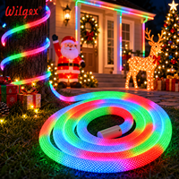 Bande LED néon tressée flexible, étanche, résistante à la poussière, CRI élevé, faible consommation d'énergie, installation facile