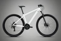 Vélo de montagne de haute qualité TW3900XC 29 pouces RS-2*12 avec suspension avant confortable, freins à disque hydrauliques en alliage d'aluminium