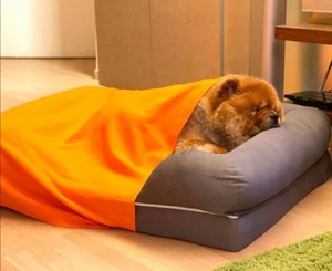High Quality Pet <strong>Bed</strong> Pet Products Memory Foam <strong>Dog</strong> <strong>Bed</strong> Luxury <strong>Dog</strong> <strong>Bed</strong> <strong>Sofa</strong> with Waterproof Liner - Product Image 2