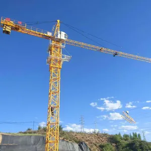 Grue à tour de sortie d'usine de 6 tonnes QTZ63 pièces de rechange fournies SUNTEC Schneider Bearing Construction 1 Set China Tower Crane Prix
