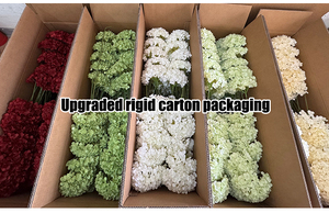 DC211 New <strong>Artificial</strong> <strong>Flowers</strong> Wholesale High Quality Hydrangea Big Head Silk White Green Hydrangea <strong>Flower</strong> for Wedding Decor - Product Image 5