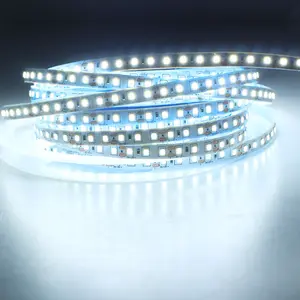 220V 2835 LED Strip Light 120D/M 240D/M 12W 20W 8mm Tape Lights For Home Hotel Indoor Use