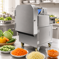 Machine à trancher les légumes et les fruits en acier inoxydable, électrique, multifonctionnelle, pour les usines de transformation des légumes