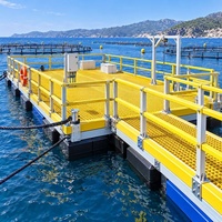 Système de garde-corps et d'escaliers en fibre de verre pour quais marins et ingénierie offshore