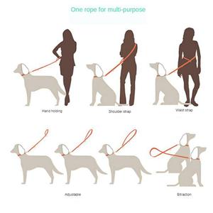 Nuevo diseño personalizado retráctil resistente perro <span class=keywords><strong>collar</strong></span> Correa conjunto algodón cuerda perro Correa entrenamiento correa para perro - Product Image 5