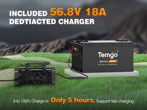 Заводские литий-железо-фосфатные (LiFePO4) аккумуляторы для гольф-каров в металлическом корпусе, 48В 100Ач, а также литий-ионные аккумуляторные блоки 36В, 48В, 72В 100Ач, 150Ач для гольф-каров - Product Image 4