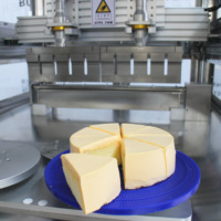 Système de découpe de gâteaux à ultrasons pour la fabrication de nougats, de bonbons et de flocons de neige croustillants – Machine à trancher et à couper pour pâtisseries – Prix
