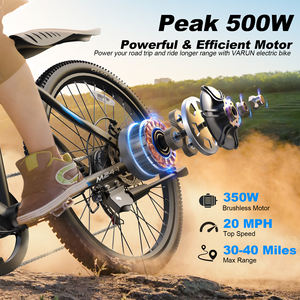 OEM/ODM Low MOQ VARUN 24" Mountain Electric <b>Bike</b> 350W Shimano 7-Speed Front Suspension Backcountry Adults CA Warehouse - Product Image 5