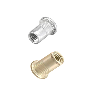 Insert de rivet professionnel de qualité automobile |   Écrou aveugle en alliage de zinc pour la construction de cadres et de châssis à parois fines - Product Image 2