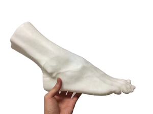 Impression 3D OEM Service Résine Blanche Résine Transparente Modèle d'Information Médicale Modèle de Pieds de Crâne avec Aller au Point de Support - Product Image 3