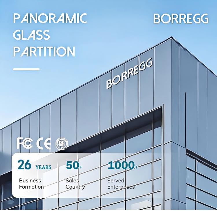 Shanghai Borregg Door Control Technology Co., Ltd. logo