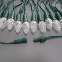 ETOP a mené des lumières de Noël extérieures C9 ampoule de lumières de fraise DC12V