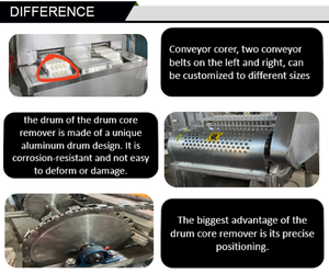 เครื่องแยกเมล็ดเชอร์รี่ไฟฟ้าอัตโนมัติเชิงพาณิชย์ประสิทธิภาพสูง กำลังไฟ 2.2 กิโลวัตต์ ใช้งานได้หลากหลายและคุณภาพสูง - Product Image 2