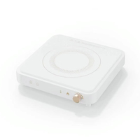 Poêle à induction électrique marmite à eau bouillante fonction multi-cuisson intelligente mini cuisinières à induction portables