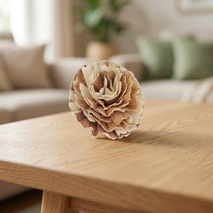 Eco-Friendly White Sola Wood Flowers Dried <b>Reed</b> <b>Diffuser</b> 8cm Environmental Friendly Wedding Party Indoor Home Decor Weddings - Product Image 3