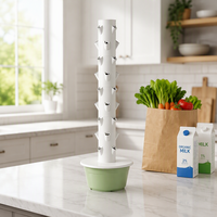 Système de culture hydroponique verticale automatique à faible coût et à haut rendement, facile à utiliser, certifié CE, en plastique anti-UV, pour une utilisation en ferme verticale.