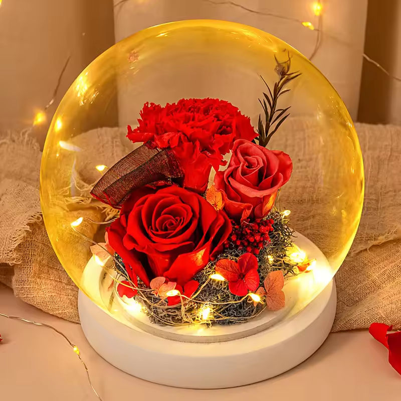 ดอกไม้ประดับดอกคาร์เนชั่นสีแดงอมตะ